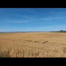 Südlich von Valencia wird viel Reis angebaut